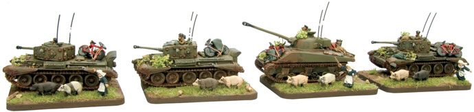 An example of one of Bill's Armoured platoons