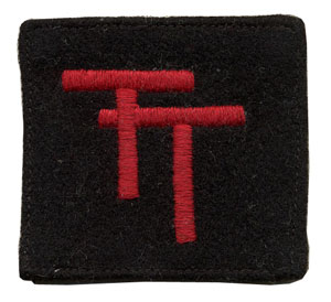 50th Division patch