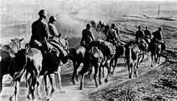 Italian cavalry