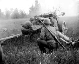 PaK40 in action