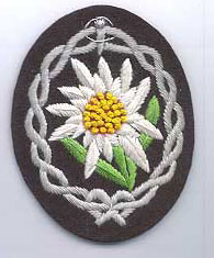 Edelweiss flower badge found on the upper right arm of Gebirgsjager tunics