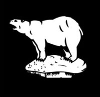 49th West Riding Division "Polar Bears"