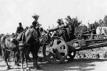 German horses rest by a 150mm Howitzer