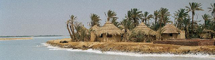 The Lost Oasis: Pimping Your Desert Battlefield in a Box Sets