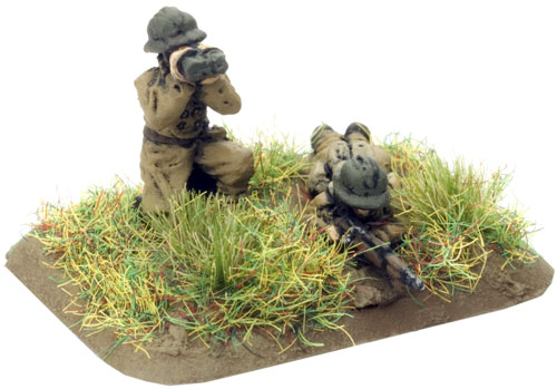 An example of a Observer Rifle team