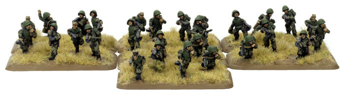 Engineer-Sapper Platoon (SU803)