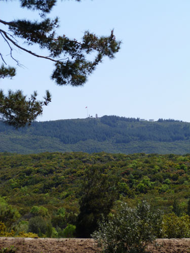 View of Chunuk Bair from Hill 60