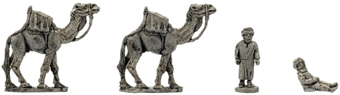 Camel and Handlers (VE001)