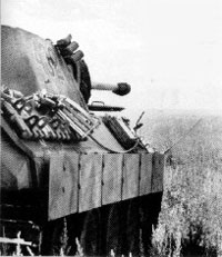 Panther in action