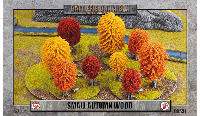 Small Autumn Wood (BB551)