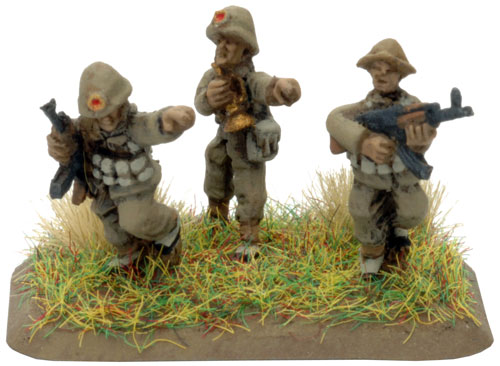 PAVN Anti-air Platoon - Command AK47 Rifle Team