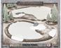 BB146 Frozen Ponds (winter)