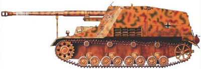 Hornisse Hornisse