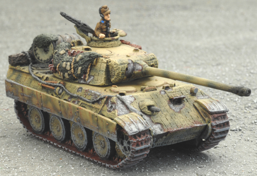 Hungarian Panther
