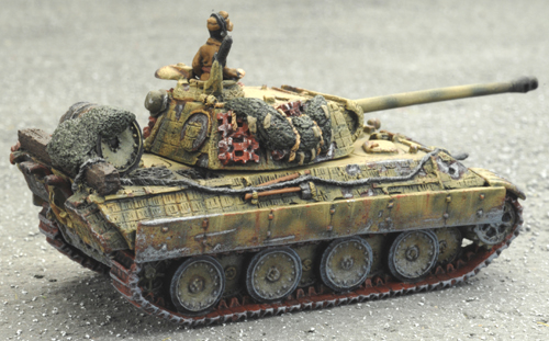 Hungarian Panther