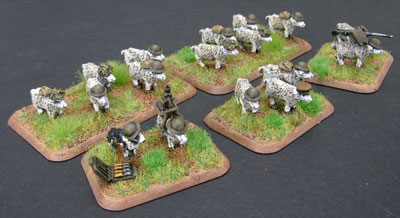 The Sheep Division.
