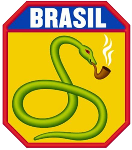 Brazilian Expeditionary Force Patch