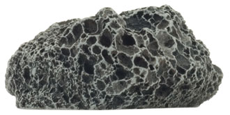 Asteroids (BB558)