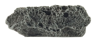 Asteroids (BB558)