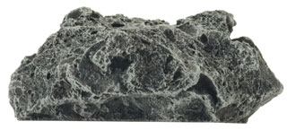 Asteroids (BB558)