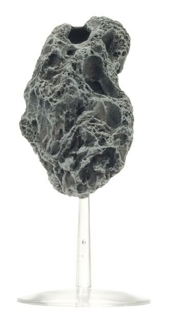 Asteroids (BB558)