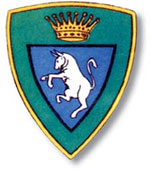 1st Alpini Division “Taurinense”