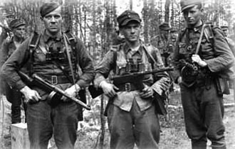 Finnish Troops