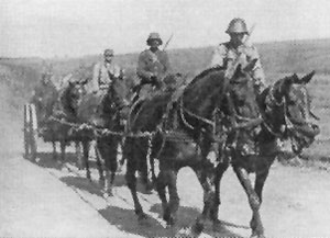 Cavalry Wagon