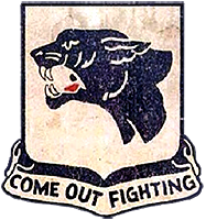 Black Panthers – the 761st Tank Battalion in The Battle of the Bulge