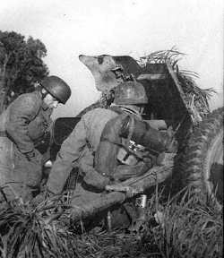 Pak36 Crew