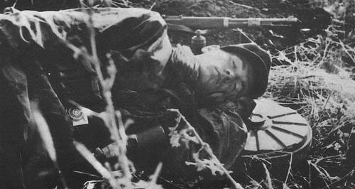 Sleeping Grenadier