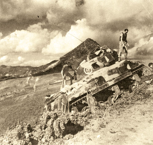 Rhodesian Sherman on Monte Vigese