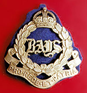 'Bays' cap badge
