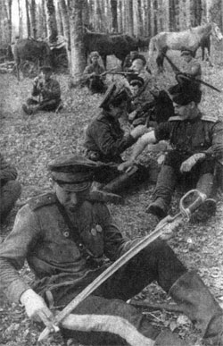 Soviet Cavalry rest in some woods