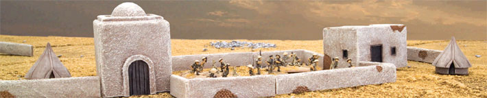Battlefield In A Box ~ Africa