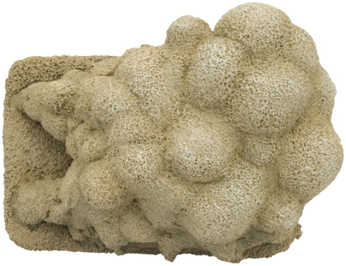 Dust Clouds (BB122)