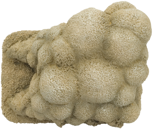 Dust Clouds (BB122)