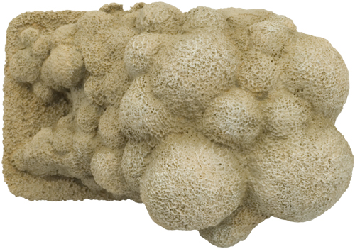 Dust Clouds (BB122)