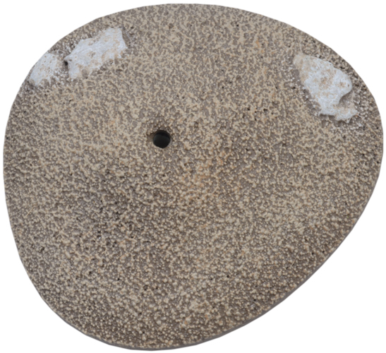 Battlefield in a Box: Desert Palms (BB538)