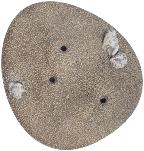 Battlefield in a Box: Desert Palms (BB538)