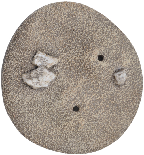 Battlefield in a Box: Desert Palms (BB538)