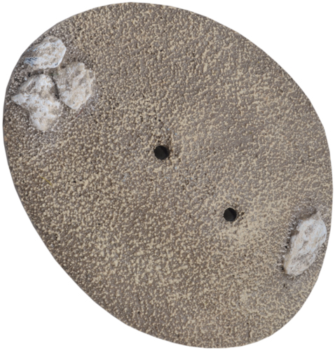 Battlefield in a Box: Desert Palms (BB538)