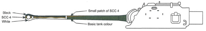 South African Paint Guide