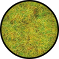 GF9 Green Static Grass (GFS001)
