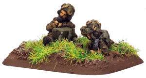 Observer Rifle team