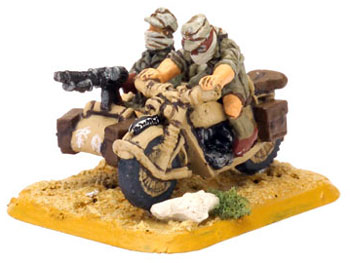 BMW & Sidecar (Afrika)