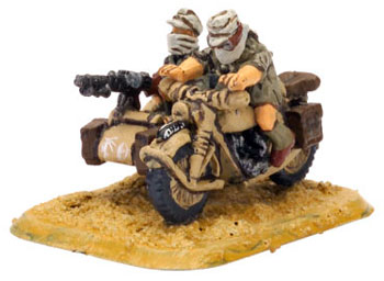 BMW & Sidecar (Afrika)