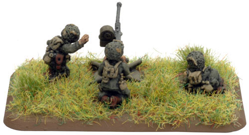 Airborne Anti-Aircraft Platoon (US545)