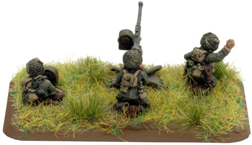Airborne Anti-Aircraft Platoon (US545)