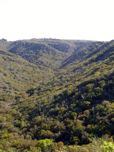 Monash Valley